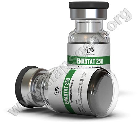 enantat_250_dragon_pharma